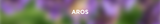 Aros